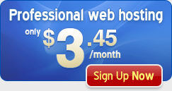 Professional Web Hosting